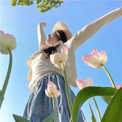 友谊战火